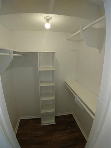 Building Photo - 5319 Little Creek Ct