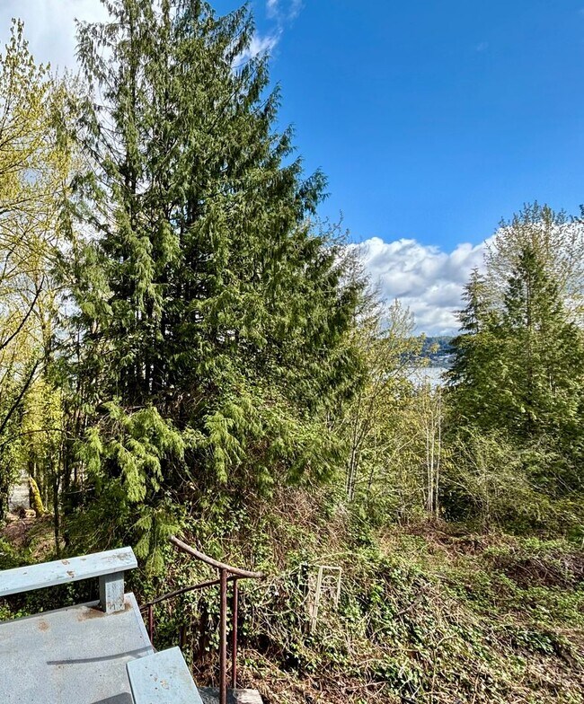 Building Photo - 2 Bed / 2 Bath Lakeview Bellevue cottage $3,295/month