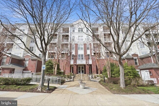 Building Photo - 1641 International Dr