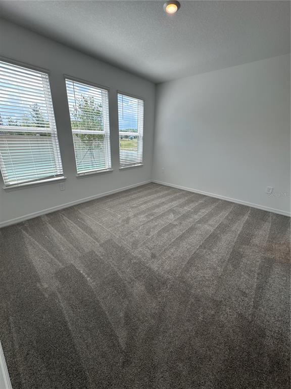 Building Photo - 994 Teal Crk Dr