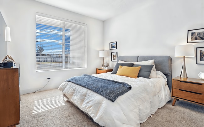 Building Photo - Affinity 56