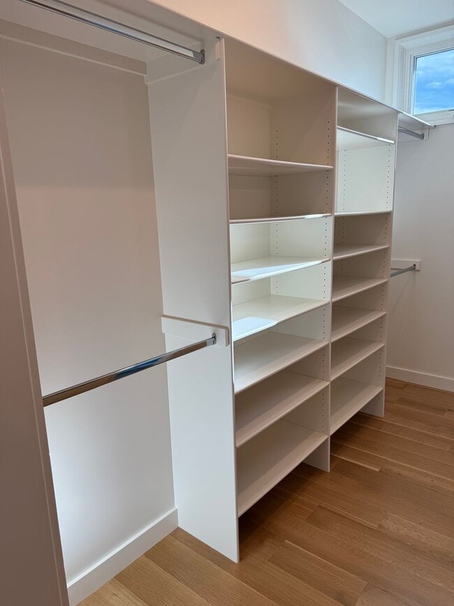 Building Photo - Silver Maple Stunning