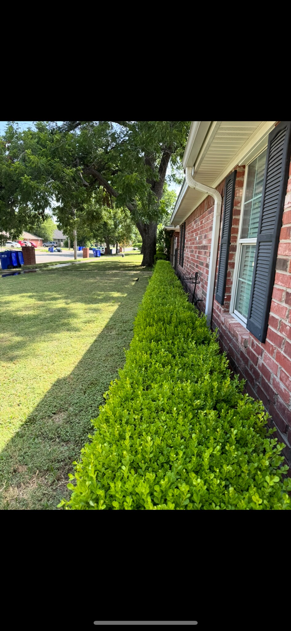 Building Photo - 1305 Bagby Ave