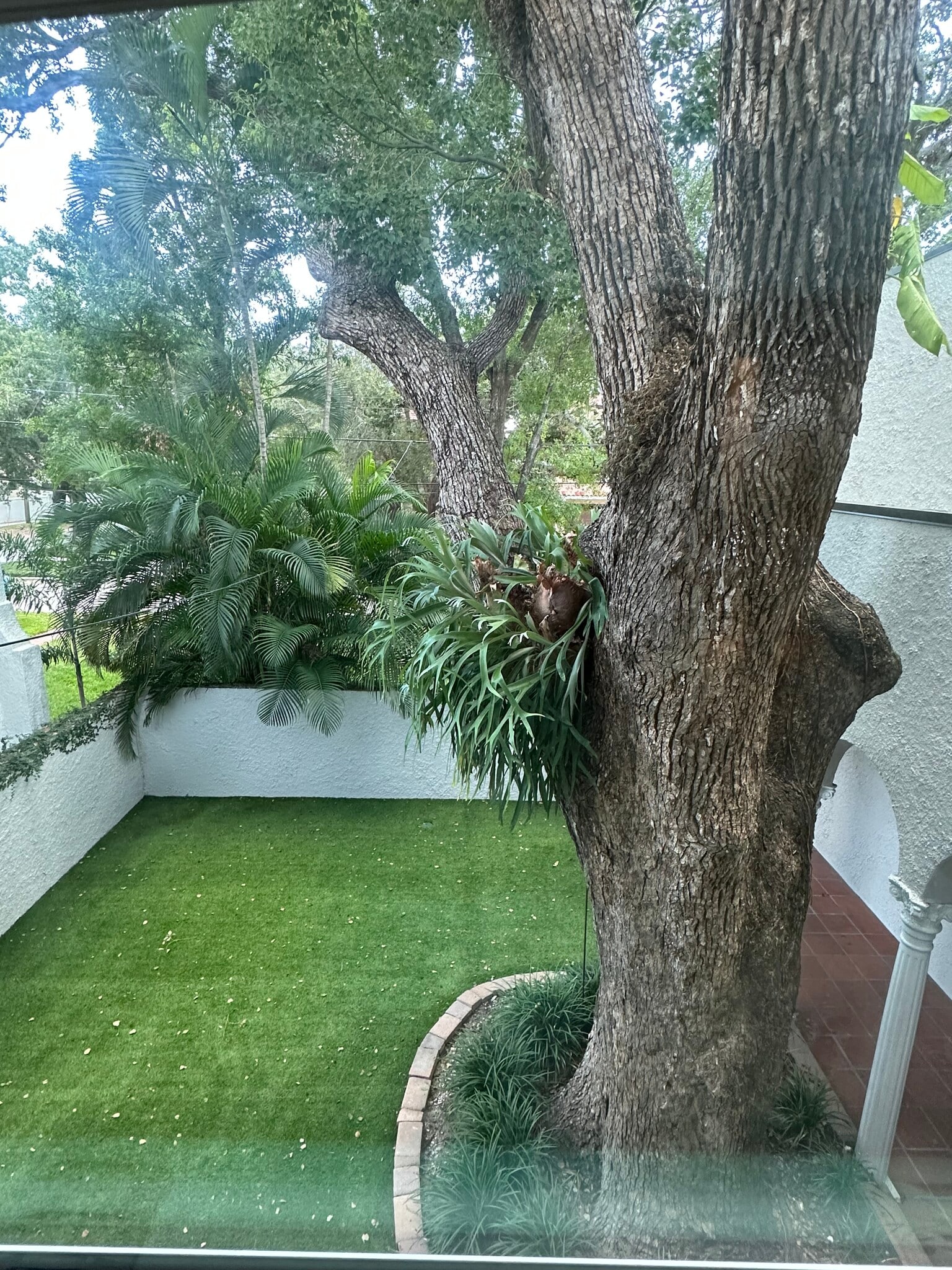 Courtyard View - 3403 W Granada St