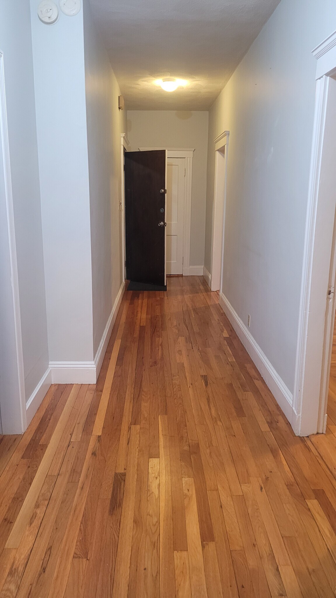 Building Photo - 258 Vine St