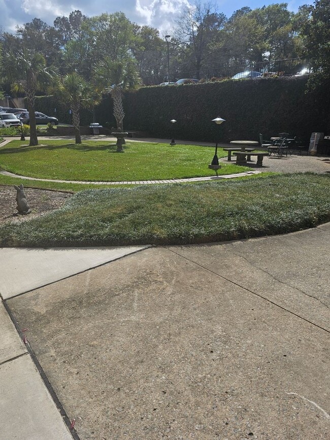 Building Photo - Beautiful Large 4th floor Highrise 2 bed 2 bath