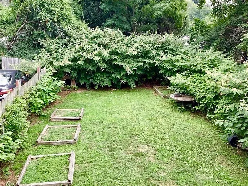 Building Photo - 3145 Brackenridge St