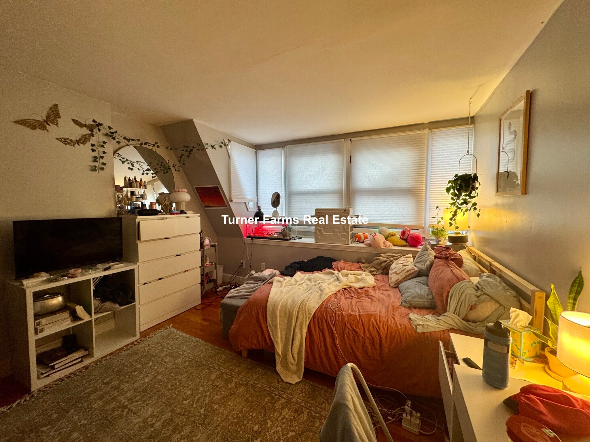 Building Photo - 469 Massachusetts Ave