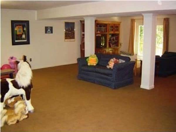 lower level family room, walks out into back yard - 303 Ferncliff Dr