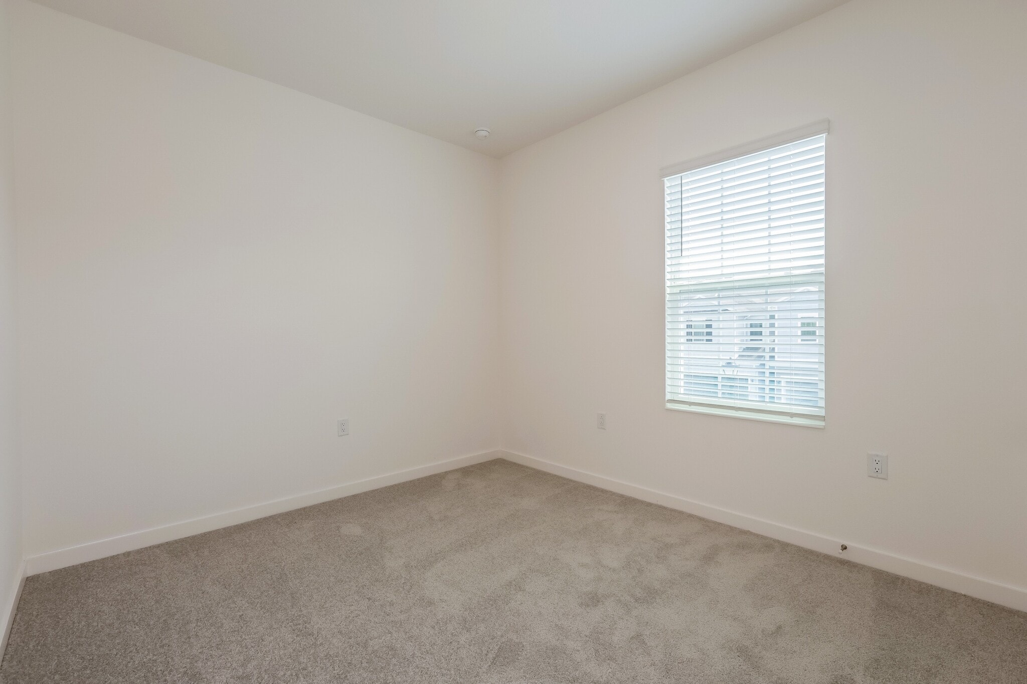 Building Photo - 1437 Tristar Dr