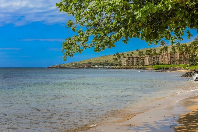 Building Photo - 150 Hauoli St
