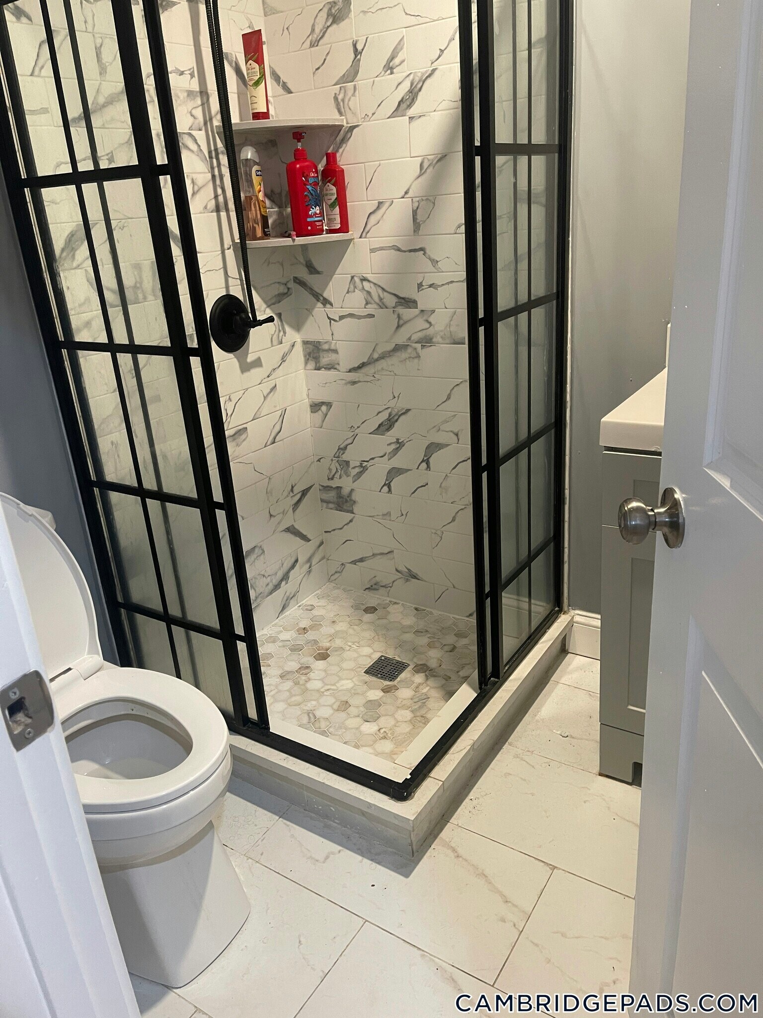 Building Photo - 339 Cambridge St