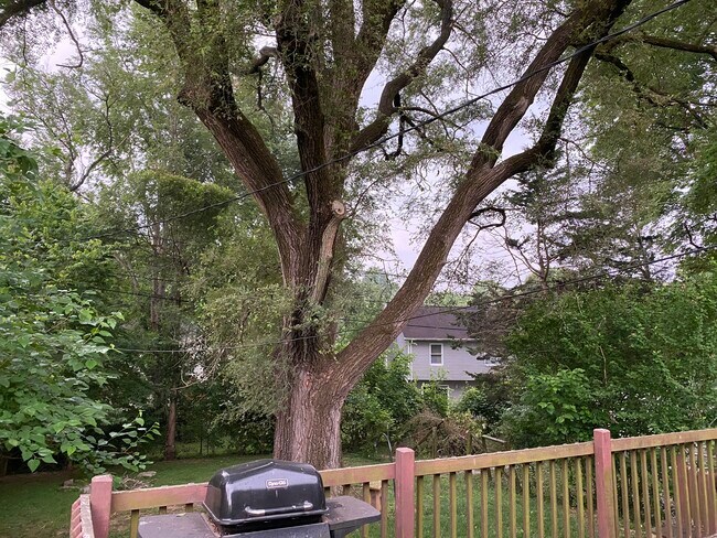 Building Photo - 655 W Ladd Ave