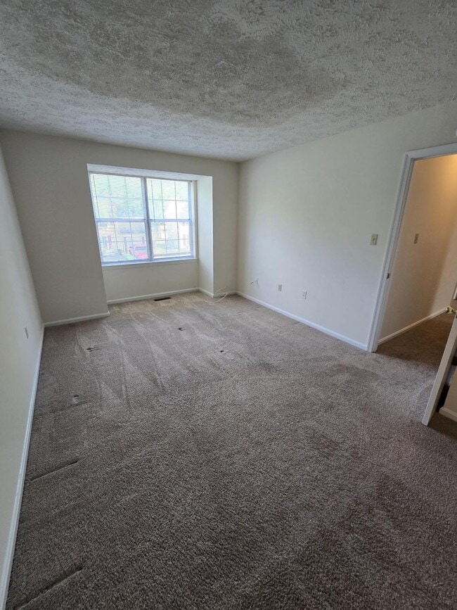 Building Photo - 4054 Cottontop Ct