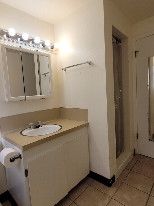 down stairs bathroom with shower - 5095 SW 163rd Ave