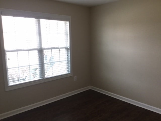 Building Photo - 1081 High Tide Ct