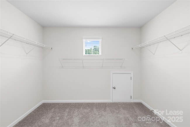 Building Photo - 3432 Blf Hl Ln
