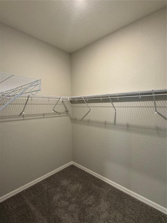 Building Photo - 1008 Aruba Ave