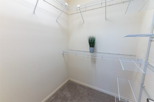 Building Photo - 6607 Lake Woodlands Dr