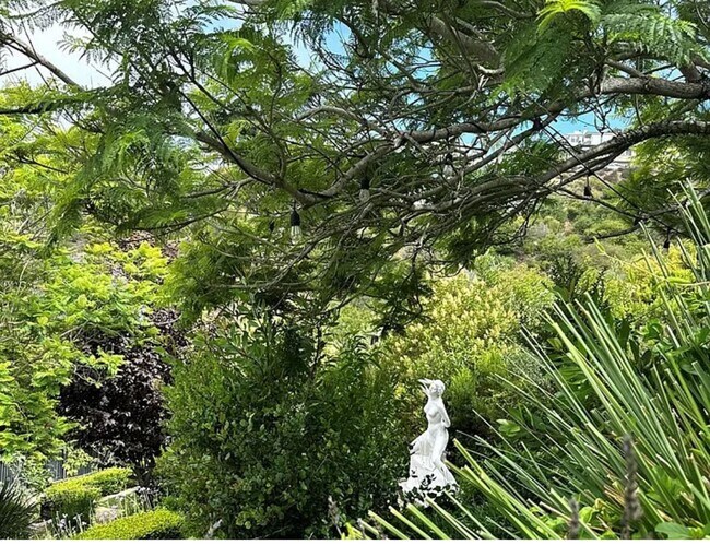 Building Photo - Azari PM-Juccuzi- half acre luxurious landscape-fully chic furniture -  massive lot , 18 fruit tr...