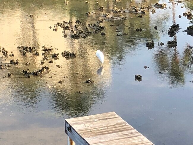 Building Photo - 208 W Saturn Ln