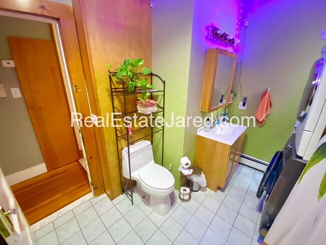 Building Photo - $500 rebate promo!  Cat-Negotiable Apt Near NEU with Laundry in Unit!  Tons of Sunlight