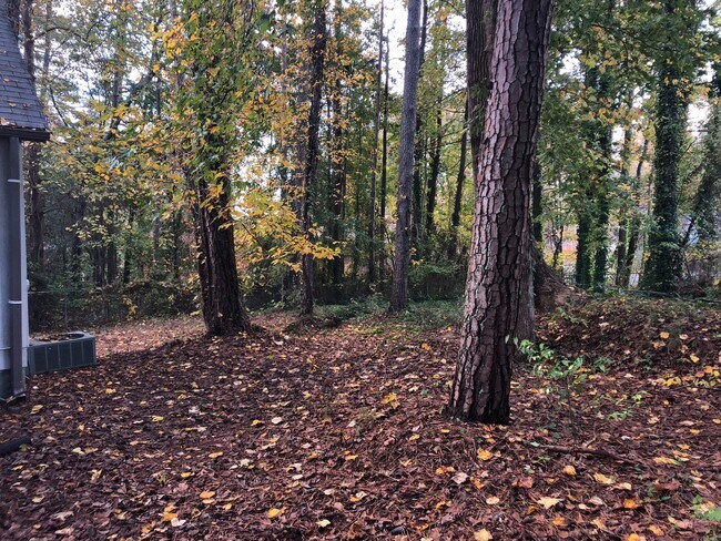 Building Photo - 3/2 Ranch w/ Large 2 Car Garage and Fenced in Backyard on Private Cul-De-Sac!