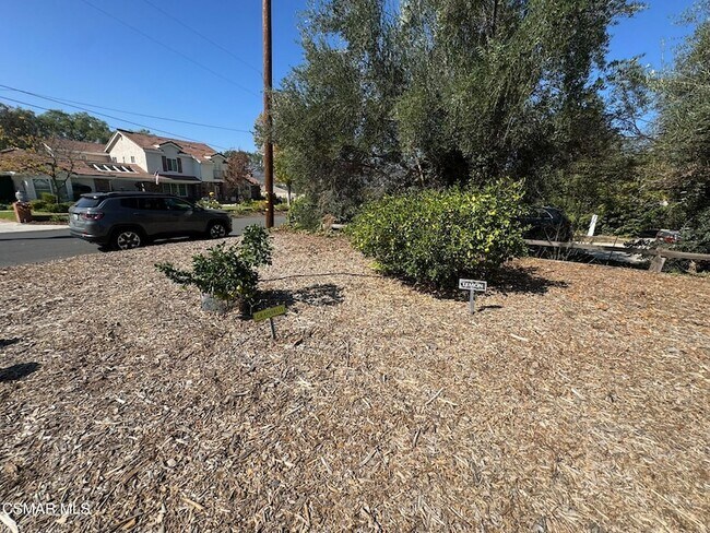 Building Photo - 381 Laguna Terrace