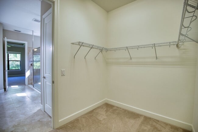 Building Photo - Annual Unfurnished Single-Family Home located in Bellacina at Casey Key with Resort-like Amenities!