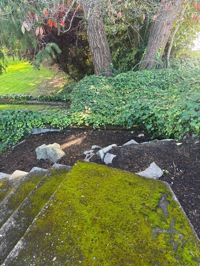 Building Photo - Enjoy 1.125 Acres near Downtown McMinnville