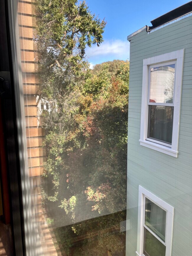 facing North out of living area window towards back of building - 1240 7th Ave