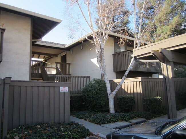 Building Photo - 2400 Shadow Ln