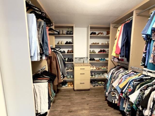 Building Photo - 1623 S Lemay Ave