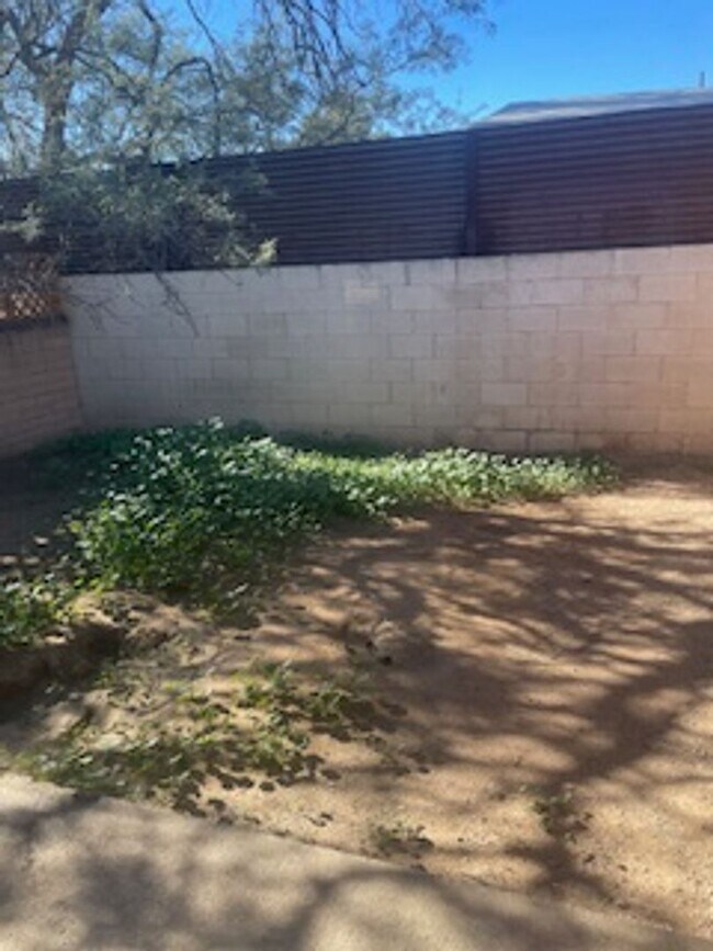 Building Photo - Presidio3727-31