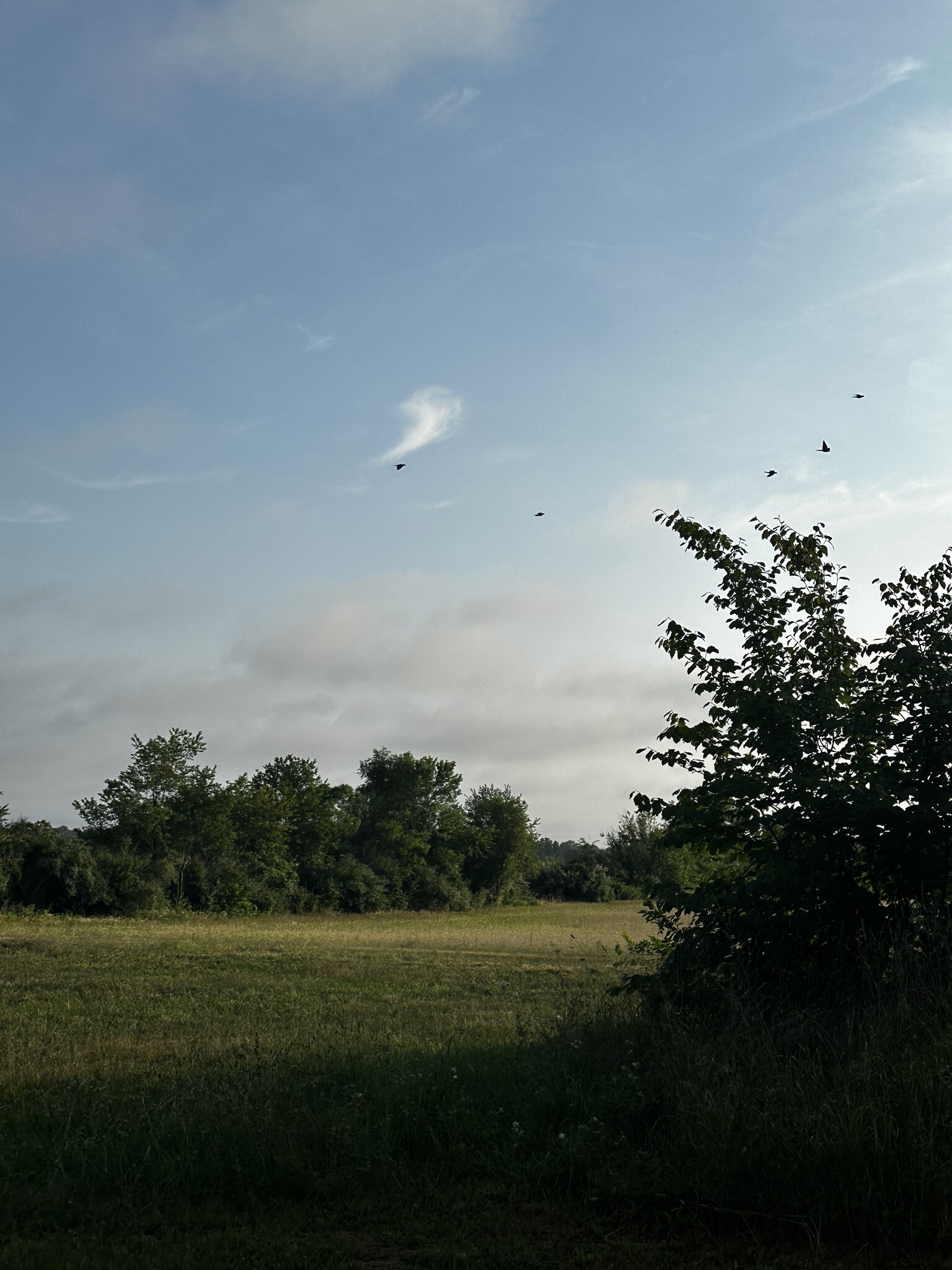 Your view from LR window - 851 9th St