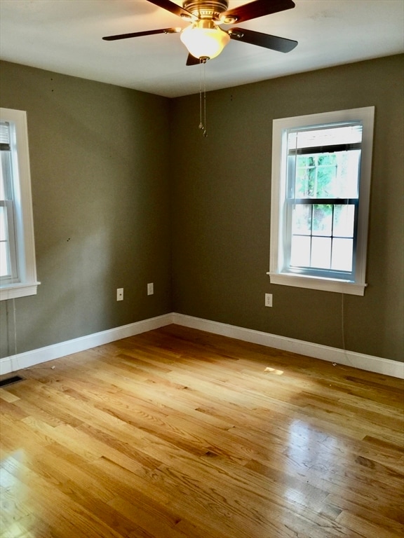 Building Photo - 2A Lorenzo St