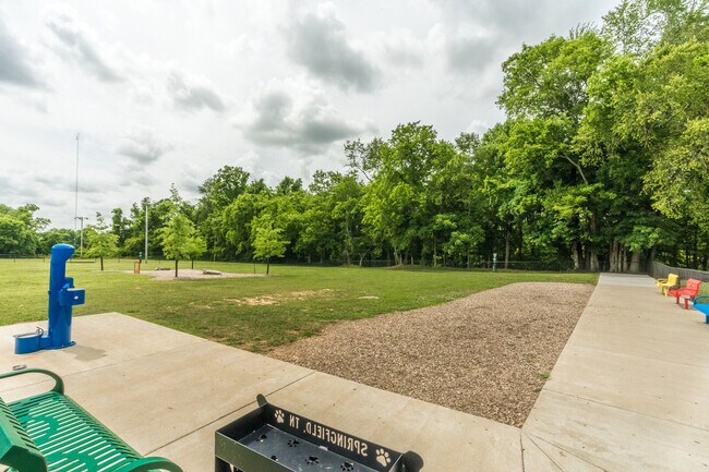 Building Photo - 305 Connell St