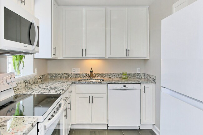 Beautiful granite countertops, Bosch dishwasher - 2873 S Buchanan St