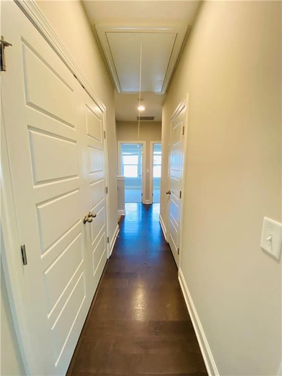 Building Photo - 1815 Hislop Ln