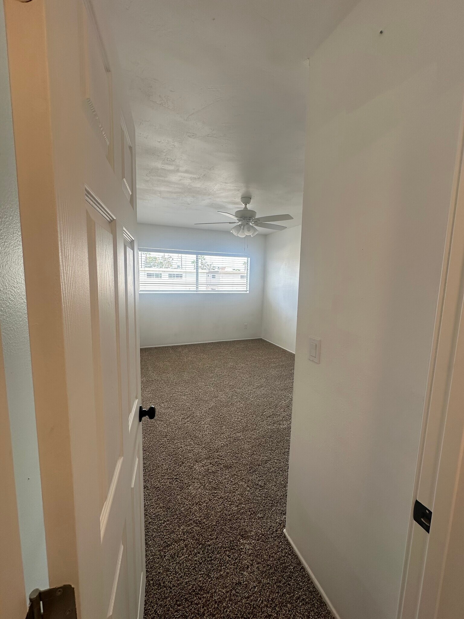 Building Photo - 3866 Basilone St