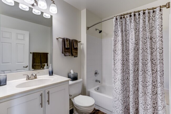 Building Photo - 406 Mozart Ct