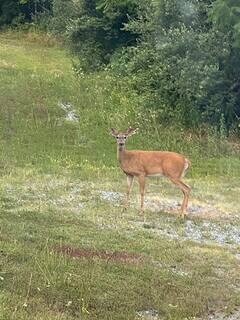 Building Photo - 1472 Hawk Mountain Rd