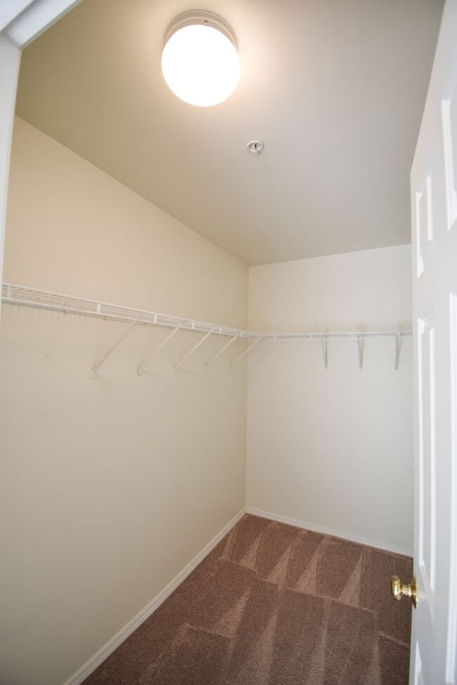Building Photo - Astounding Condo  End Unit, Garage include...