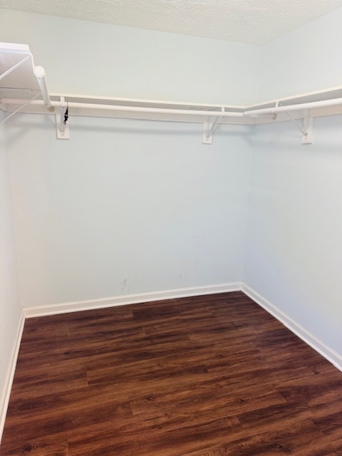 Building Photo - 9306 Kite St