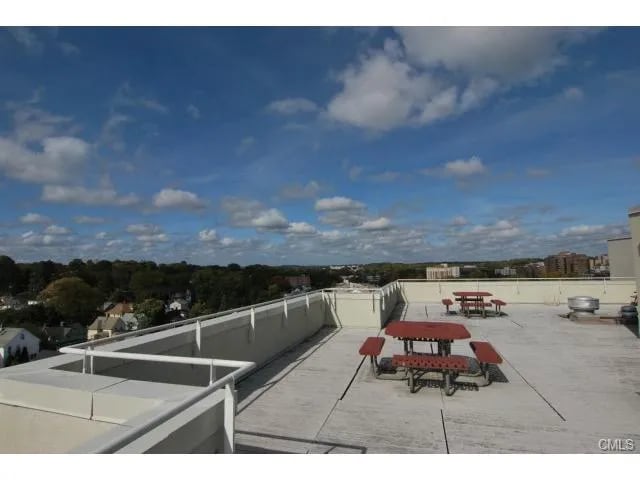 Roof deck - 51 Schuyler Ave