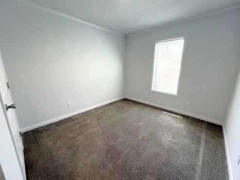 Building Photo - 10611 Lyons Ct