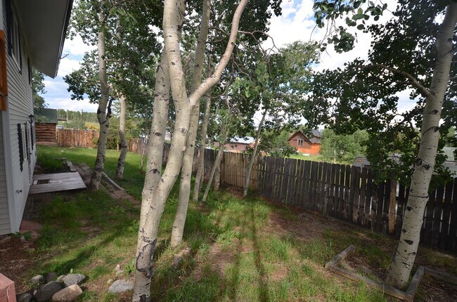 Building Photo - Fairplay home available 10/1/26, yard, two living spaces!