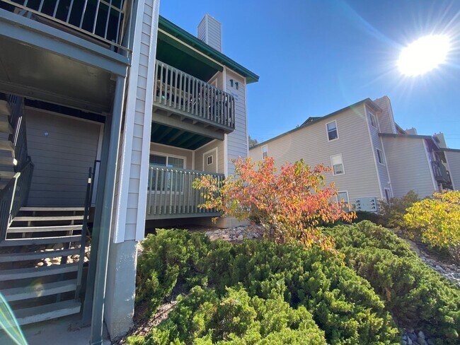 Primary Photo - One Bedroom Condo with Mountain Views