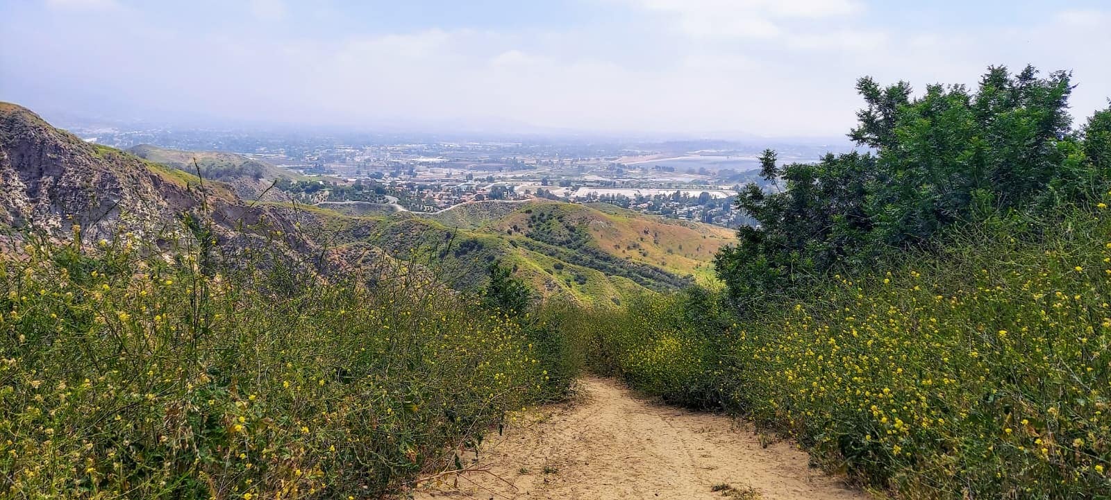 Building Photo - 17135 San Jose St