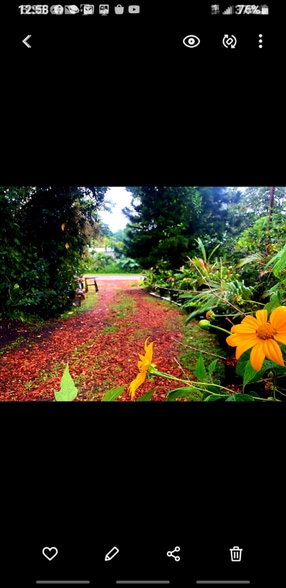 Building Photo - 15-2745-2745 Kahala St